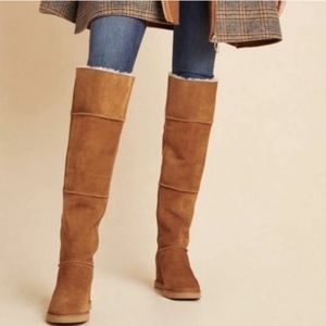 NEW UGG Femme OTK Over the Knee Tall Boots Chestnut Suede size 7